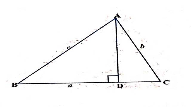 Proofs in Mathematics