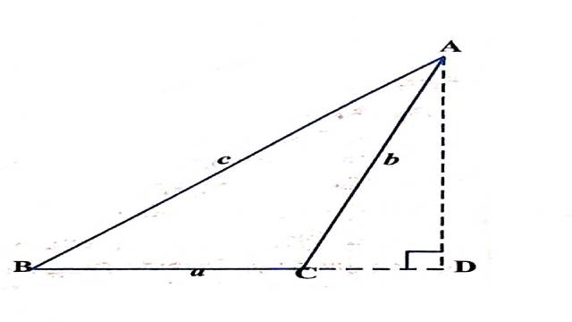 Proofs in Mathematics