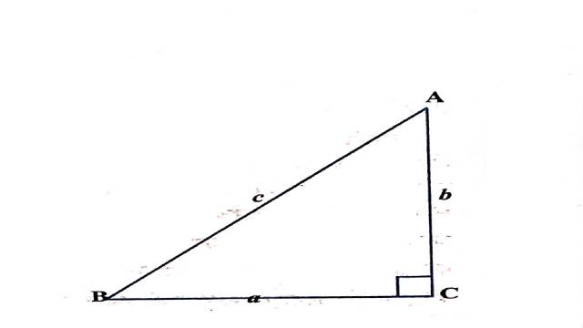 Proofs in Mathematics