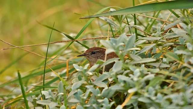 Imp Examples of Volume of Cube and Cuboid