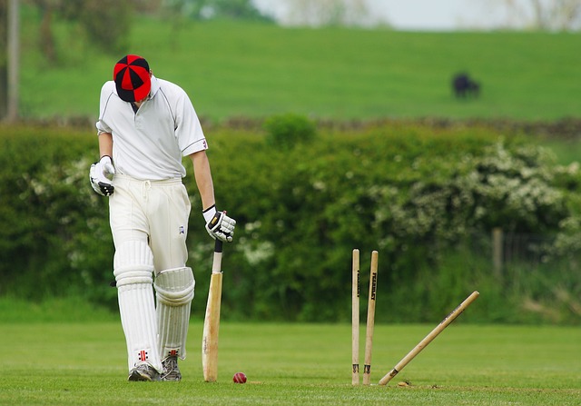 Reasons for Craze for Cricket in India
