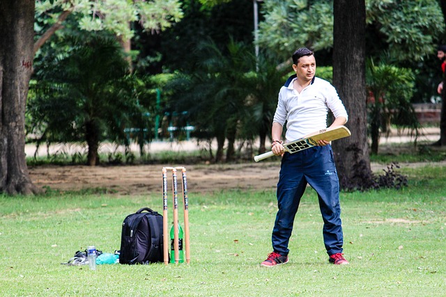 Reasons for Craze for Cricket in India