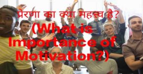 What is Importance of Motivation?