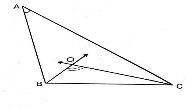 Angles Sum Properties of Triangle 9th