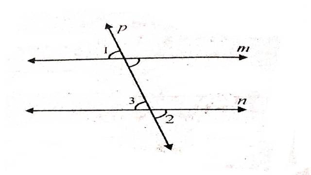 Important Examples of Lines and Angles