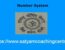 Number System