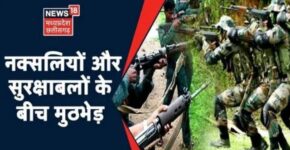 What is Indian Naxalite?