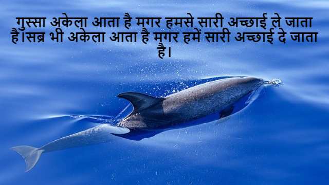 Probability Class 11