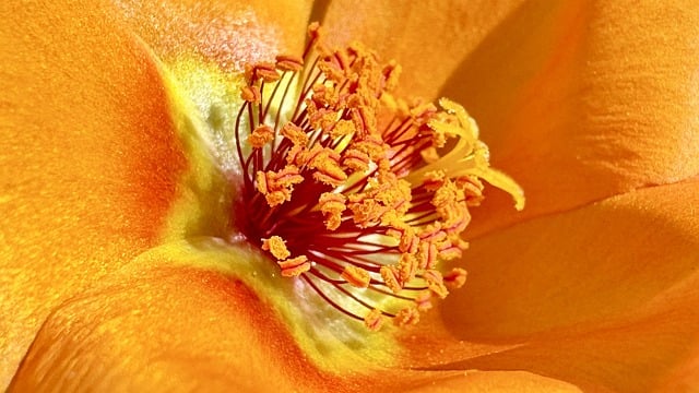 To Solve Assignment Problems