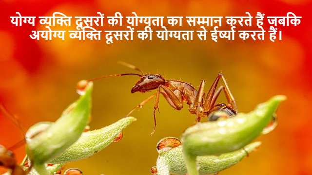 To Solve Assignment Problems