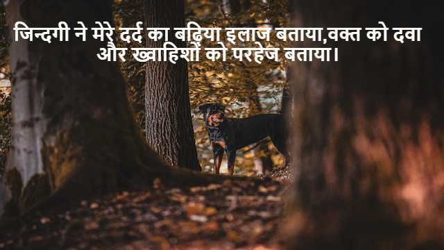 Normal Distribution in Statistics