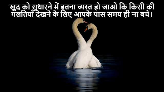 Illustrations of Kind of Singularities