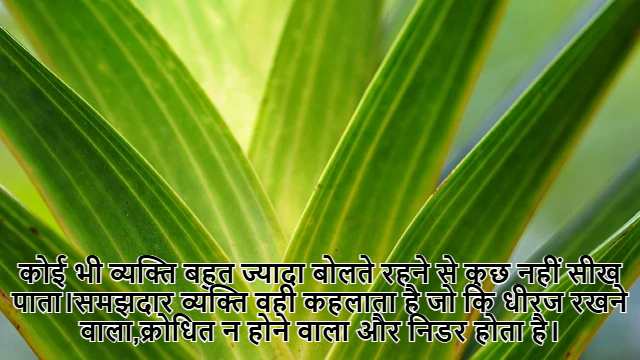 Negation of Statement Class 11