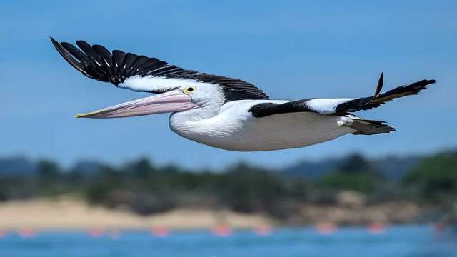 Solve Equations by Newton-Raphson