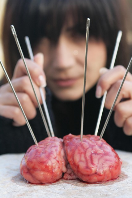 Effects of Mind and Body on Each Other