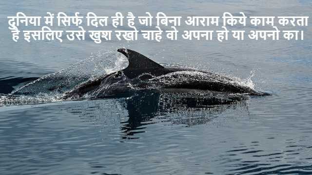 Examples of Contour Integration