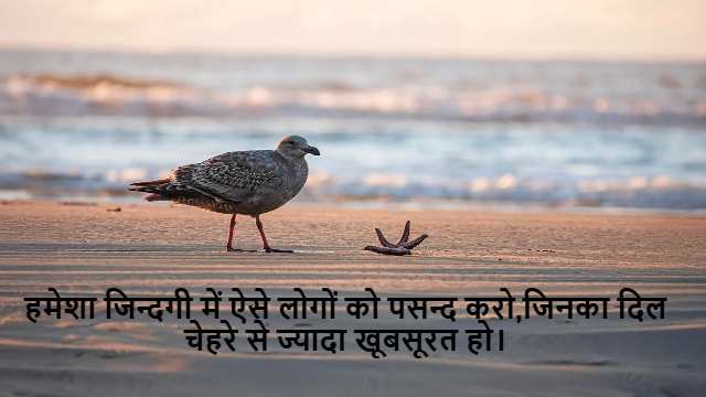 Examples of Probability Class 10