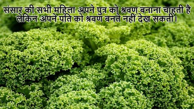 Find Root of Number by Newton Formula