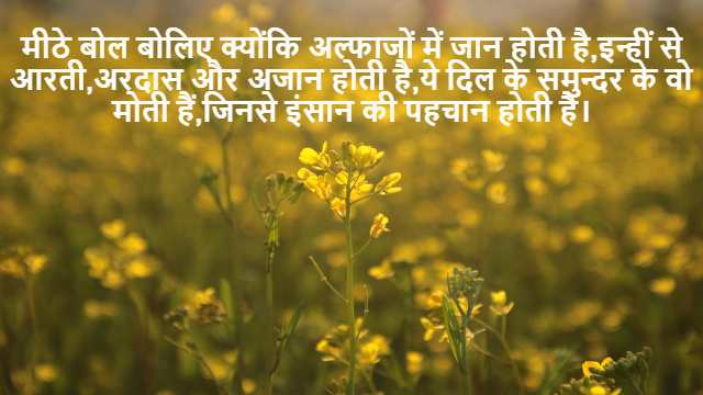 Product of Two Vectors Class 12