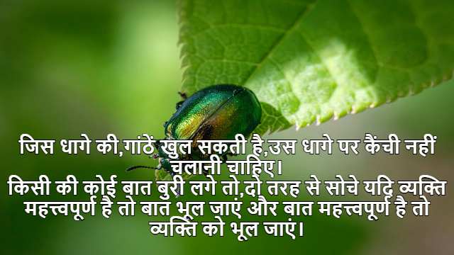 Illustrations of Contour Integration