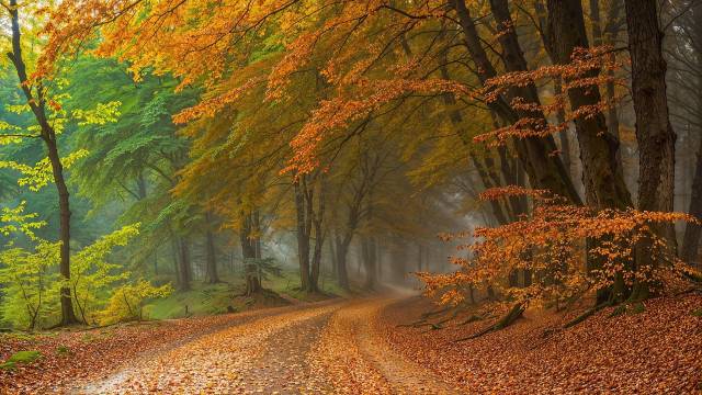 Solve Equations by Cramer Rule