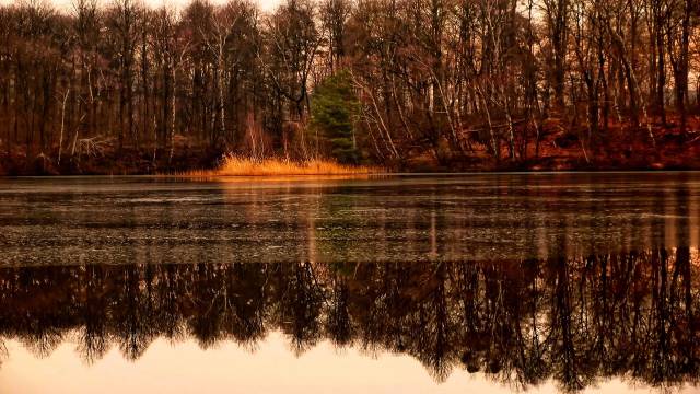 Direction Cosines Class 12