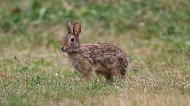 MCQ Type Examples of Real Numbers