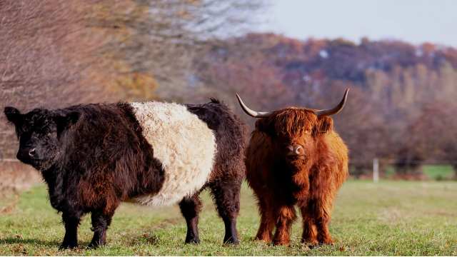 To Use Method of Contour Integration