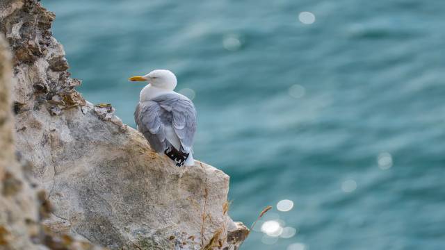 Equation of Plane in Class 12