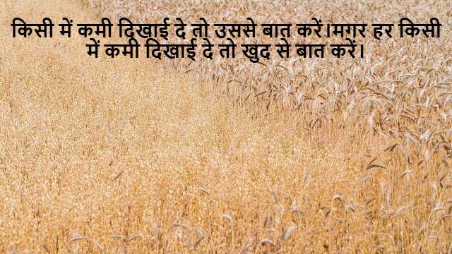 Illustrations of Polynomials Class 10