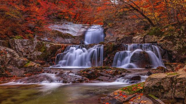 Prove that by Contour Integration