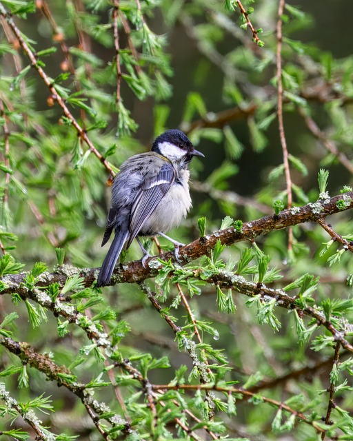 Amazing and Beautiful Our World