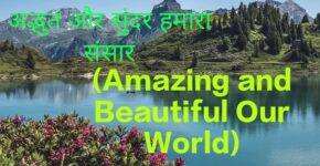 Amazing and Beautiful Our World