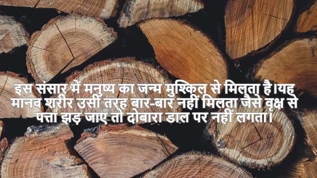 Probability Class 12