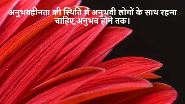 Multiple and Sub-Multiple Angle