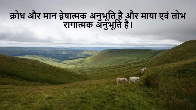 Reverse Probability Class 12