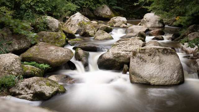 Reverse Probability Class 12