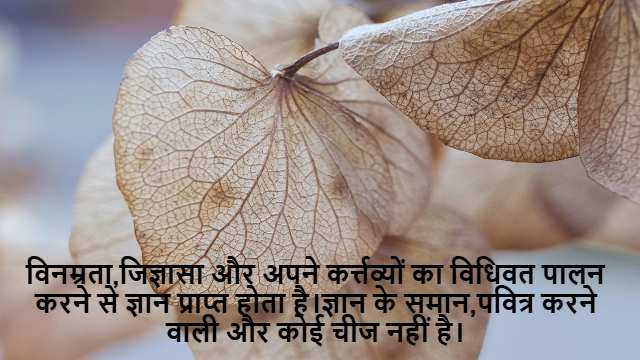 Arithmetic Progression in Class 10th