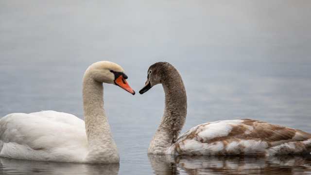 Work and Time in Arithmetic