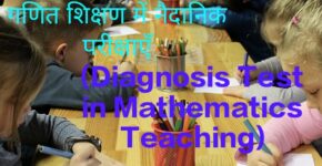 Diagnosis Test in Mathematics Teaching