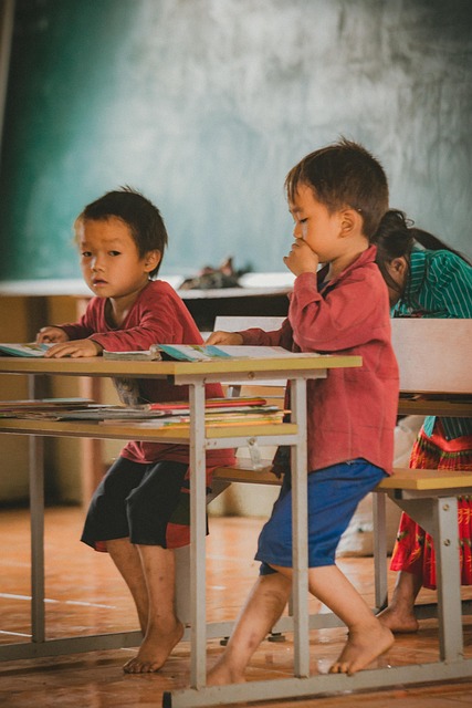 Diagnosis Test in Mathematics Teaching