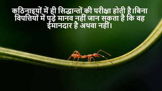 How to Calculate Standard Deviation?