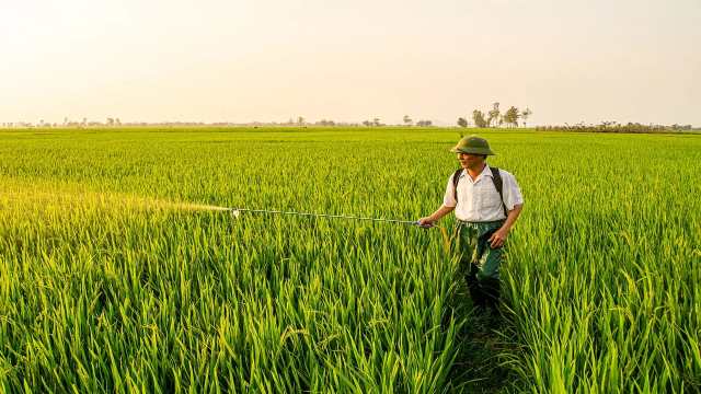Sitting Arrangement in Reasoning Test