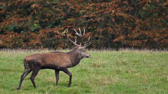 Sitting Arrangement in Reasoning Test