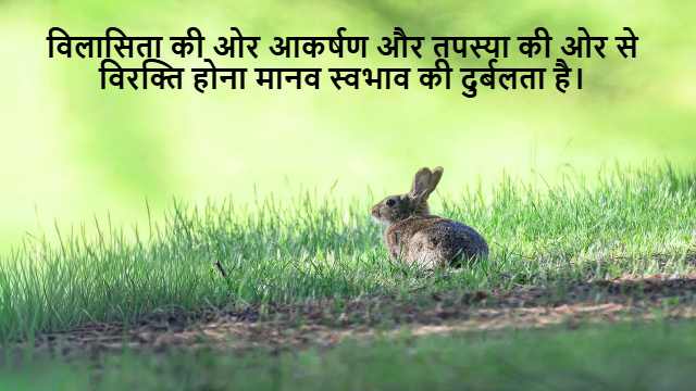 Sum of Arithmetic Progression Class 10