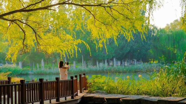 Volume and Surface Area in Class 9th