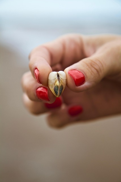 7 Best Ways of Body/Mind/Heart Harmony