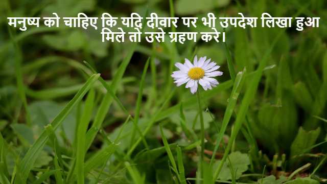 Area of Triangles Class 9th