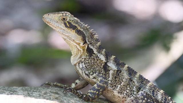 Arithmetic Progression 10th