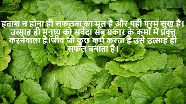 Direction Test in General Intelligence